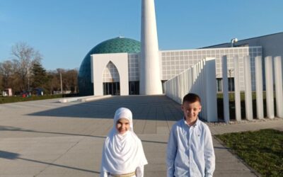 Uspjeh  učenika 3. razreda u izvanškolskim aktivnostima